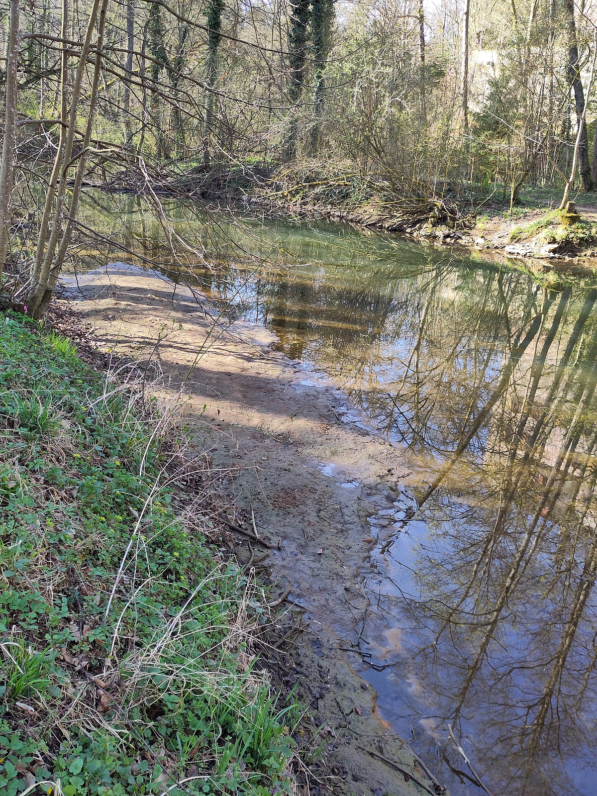 Wegen Niedrigwasser freiliegende Sandbank